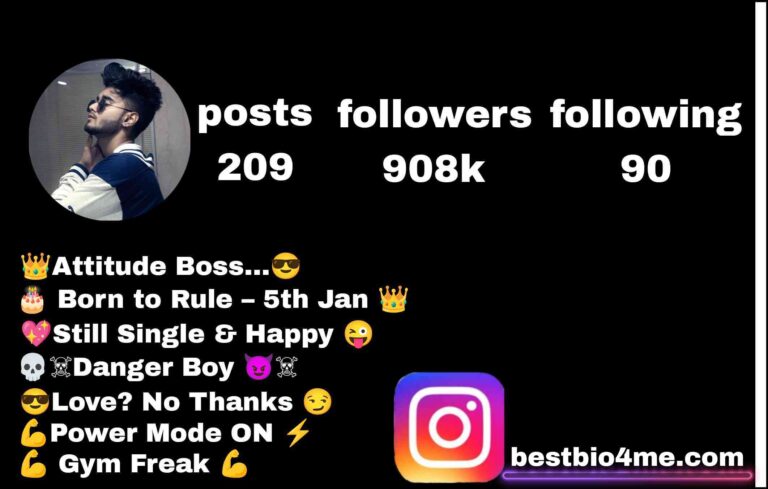 Best Mom Dad Instagram Bio 2026