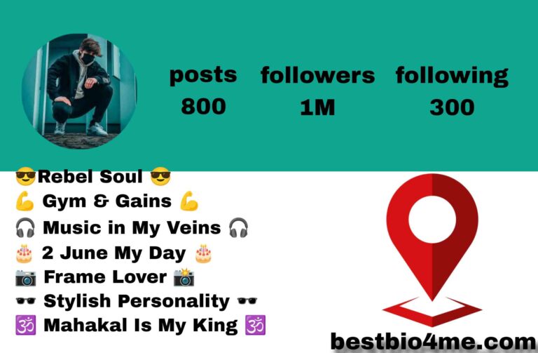 Best Mom Dad Instagram Bio 2026