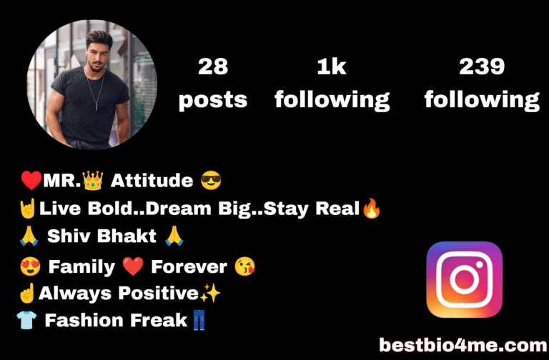 Top 700+ Instagram Bio For Boys, Attitude Stylish & VIP Bio