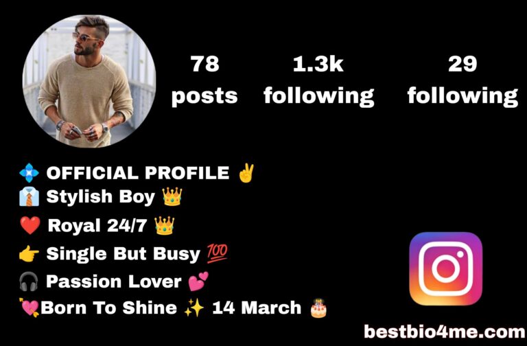 Top 700+ Instagram Bio For Boys, Attitude Stylish & VIP Bio