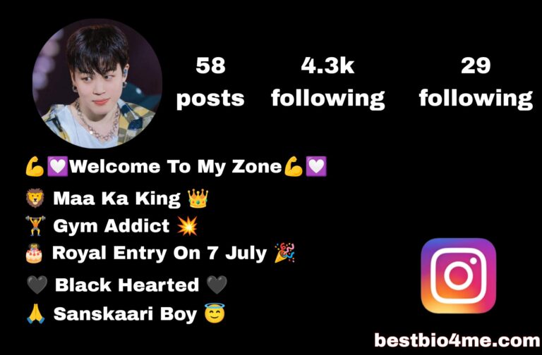 Top 700+ Instagram Bio For Boys, Attitude Stylish & VIP Bio