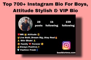 Top 700+ Instagram Bio For Boys, Attitude Stylish & VIP Bio