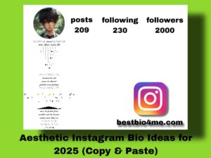 43+ Aesthetic Instagram Bio Ideas for 2025 (Copy & Paste)