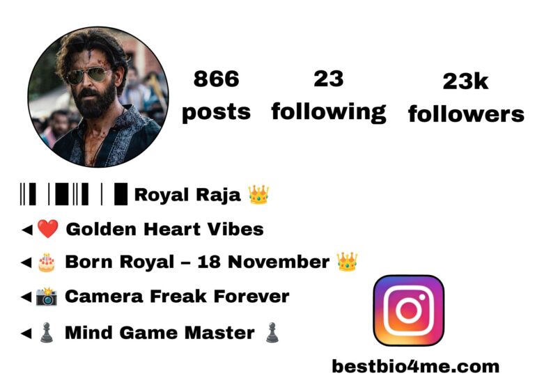 Best 1110+ King Bio For Instagram | किंग Bio