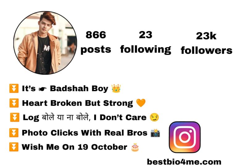 Best 1110+ King Bio For Instagram | किंग Bio