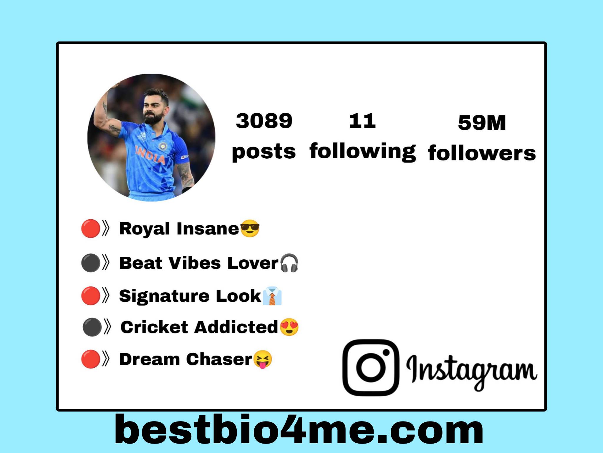Best Cricket Bio For Instagram | Instagram Bio For Cricket Lovers