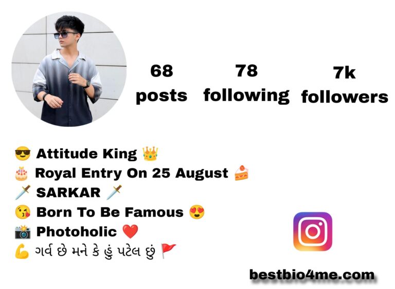 Best 196+ Best Patel Instagram Bio | पटेल बायो