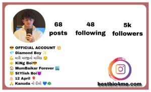 Best Mom Dad Instagram Bio 2026